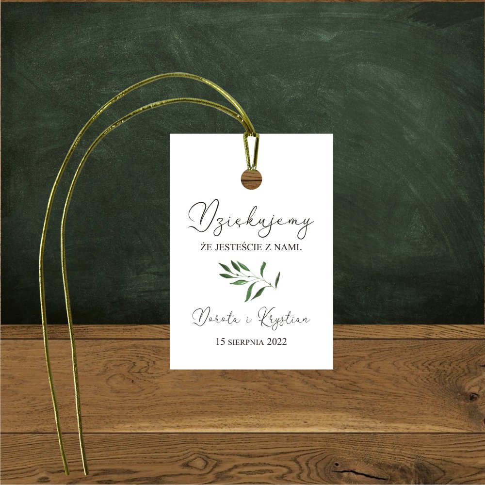 Zawieszki do prezencików - Zawieszki do prezentów.Zielona gałązka delikatna-fantazyjna